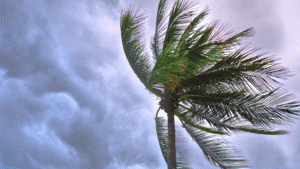 Storm damage, emergency roof repair, Florida storms, Storm Damage Roof Repair Florida